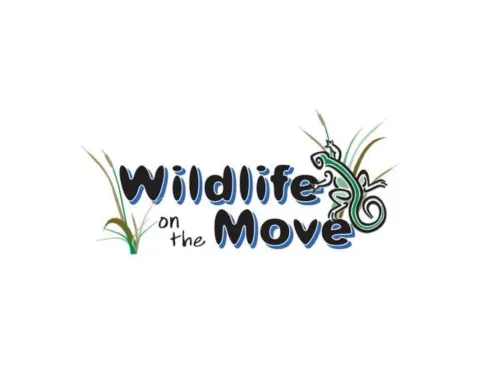 wildlife on the move