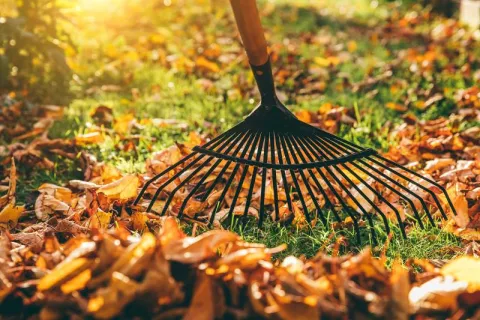 Fall Garden Prep