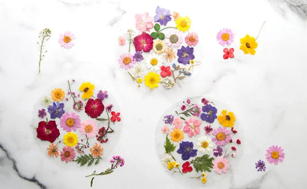 Pressed Flower Suncatchers